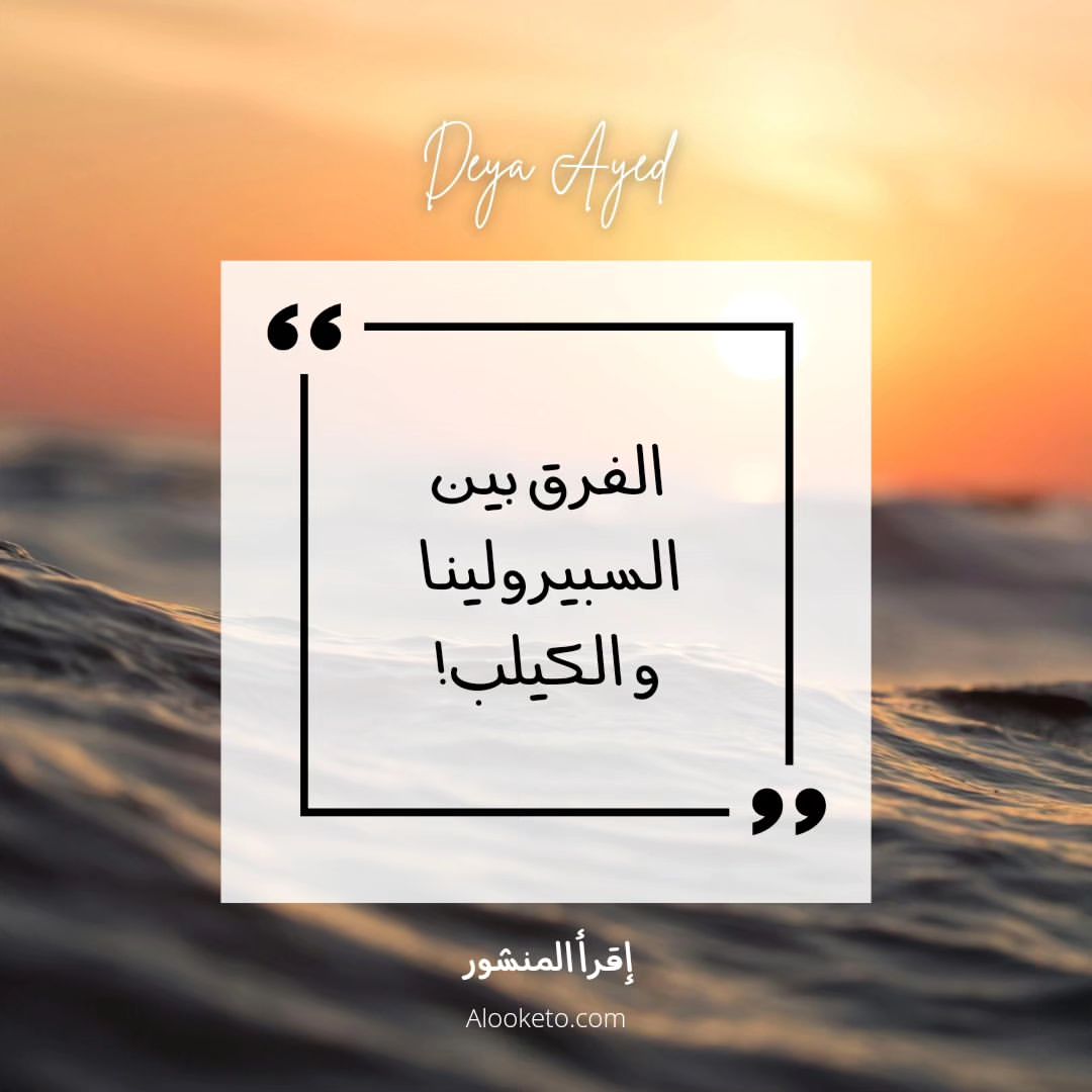 الفرق بين السبيرولينا و الكيلب