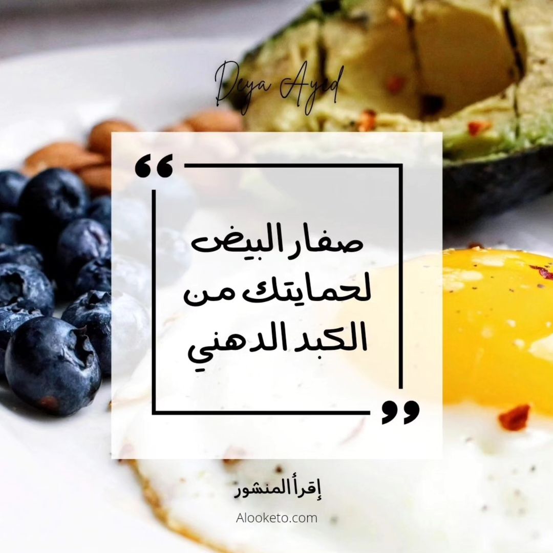 اهمية صفار البيض للكبد